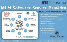 MLM Software Service Provider-min.jpg