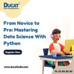 From Novice to Pro Mastering Data Science With Python.jpg