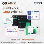 Custom CRM Software development services.png