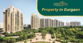 property-in-gurgaon.jpeg