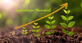 Agriculture Microbial.jpg