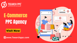 E-Commerce PPC Agency (1).png