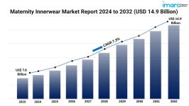 Maternity Innerwear Market Graph.jpg