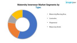 Maternity Innerwear Market Segmentation.jpg