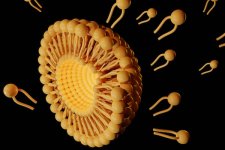 Lipid Nanoparticle.jpg