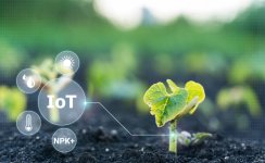 Agriculture IoT.jpg