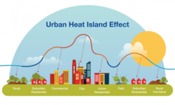 urban-healt-island-effect-1-810x486 (1).png