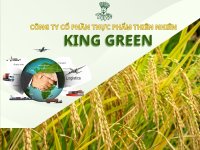 công_ty_xuất_khẩu_gạo_King_Green (3).jpg