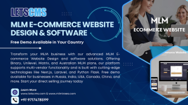 MLM E-commerce MLM Website Design & Free Demo Available your country.png