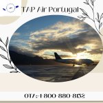 Tap Air Portugal.jpg Tap Air Portugal.jpg