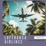 Lufthansa Airlines.jpg Lufthansa Airlines.jpg