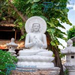 tuong-thich-ca-mau-ni-da-cam-thach (1).jpg tuong-thich-ca-mau-ni-da-cam-thach (1).jpg