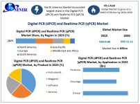 Digital-PCR-dPCR-and-Realtime-PC.png