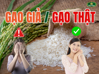 Thêm tiêu đề (6).png