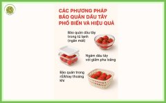 loi-ich-hat-hanh-nhan-dem-lai (1).jpg