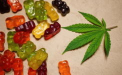 CBD-Gummies-in-India-.png CBD-Gummies-in-India-.png
