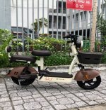 TailG JY33 Mini Bike TailG JY33 Mini Bike