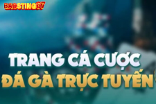 1752026927117.png