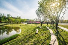 thiet-ke-canh-quan-3.jpg
