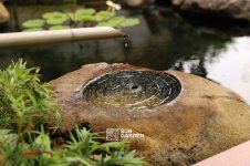 cach-lam-tieu-canh-san-vuon-mini-5.jpg cach-lam-tieu-canh-san-vuon-mini-5.jpg