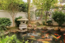 canh-quan-san-vuon-1 (2).jpg