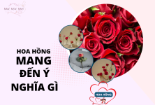 Ý nghĩa của những bông hồng Ý nghĩa của những bông hồng