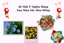 Ảnh chụp màn hình 2025-08-02 223212.png Ảnh chụp màn hình 2025-08-02 223212.png