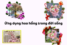 Ảnh chụp màn hình 2025-08-02 225057.png Ảnh chụp màn hình 2025-08-02 225057.png