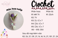 len hoa tulip bl.png