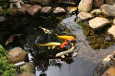 ho-canh-quan-4.jpg