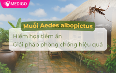 Muoi-Aedes-albopictus-Hiem-hoa-tiem-an-va-Giai-phap-phong-chong-hieu-qua.png Muoi-Aedes-albopictus-Hiem-hoa-tiem-an-va-Giai-phap-phong-chong-hieu-qua.png