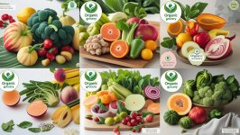 top 5 organic grocery online store (1).jpg