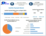 Satellite-Payloads-Market-1.png