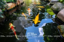 tieu-canh-trong-nha-ong-2 (2).jpg