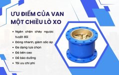 1757057630542.jpeg 1757057630542.jpeg