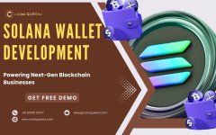 Solana Wallet (1).jpg