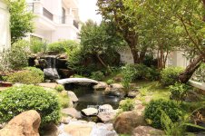 cay-tieu-canh-san-vuon-2.jpg cay-tieu-canh-san-vuon-2.jpg