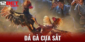 1759914758084.png