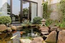 tieu-canh-1 (2).jpg tieu-canh-1 (2).jpg