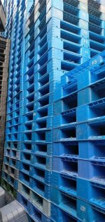 z5689074649044_59f61c2f71c7b3a557511d37dfd8622c.jpg z5689074649044_59f61c2f71c7b3a557511d37dfd8622c.jpg