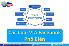 Cac-Loai-VIA-Facebook-Pho-Bien.png