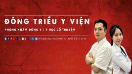 banner map dong trieu y vien.jpg