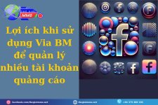 Loi-ich-khi-su-dung-Via-BM-de-quan-ly-nhieu-tai-khoan-quang-cao-compressed.jpg