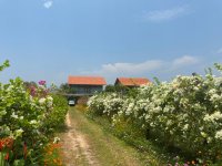 IMG_4934-fotor-20250325124758-3.jpg IMG_4934-fotor-20250325124758-3.jpg