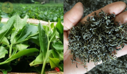 1762416886875.png 1762416886875.png