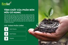 tính chất humic.jpg tính chất humic.jpg