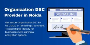 1762506179115.jpeg 1762506179115.jpeg