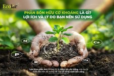 mở đầu.jpg mở đầu.jpg