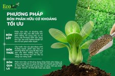 cách sd.jpg cách sd.jpg