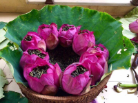 1762654695761.png 1762654695761.png